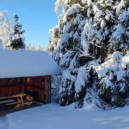 Dusan Apartamento Štôla