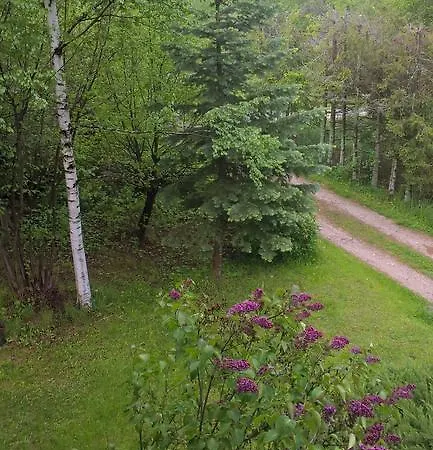 Dušan