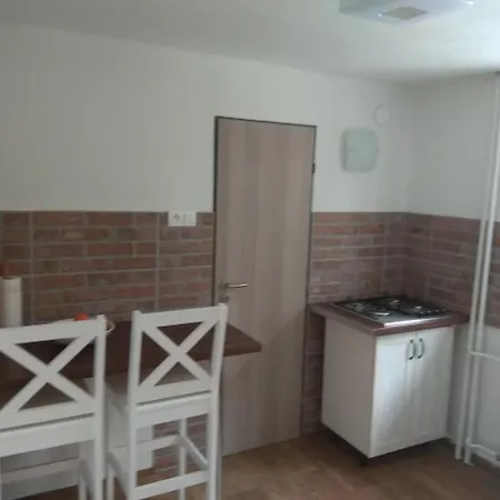 Apartman Dusan *